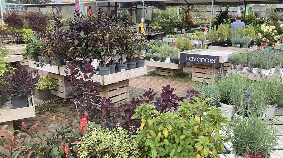 Garden centre planteria